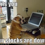 Your Stocks are Down