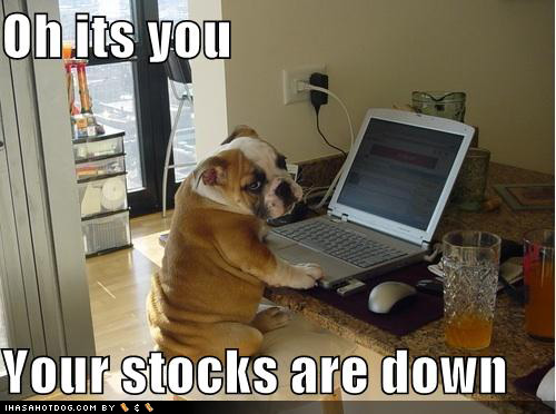 Your Stocks are Down